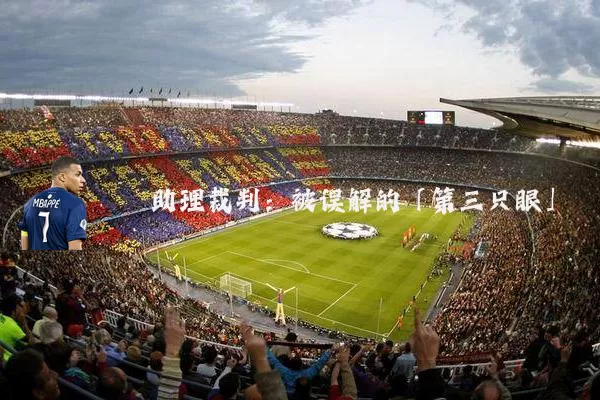 助理裁判：被误解的「第三只眼」
