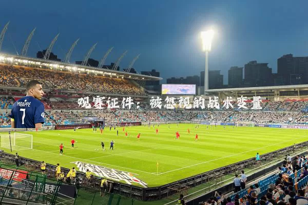 观赛证件：被忽视的战术变量